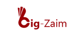 Логотип Big-Zaim