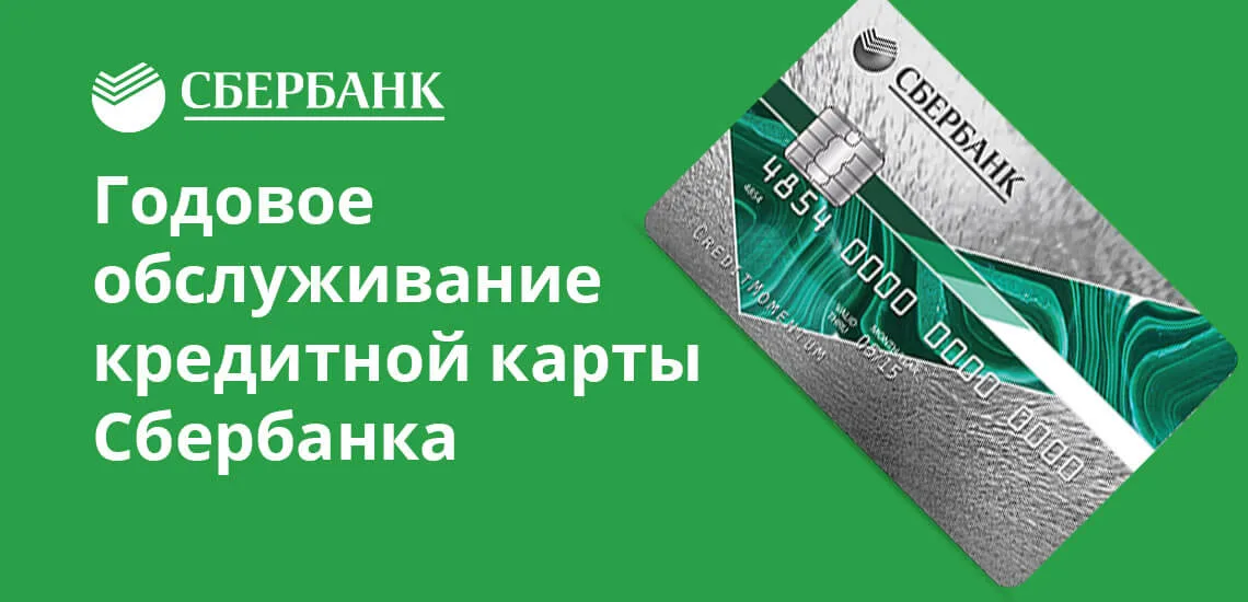 Кредит на карту сбербанка на год банки в амурской области где взять кредит