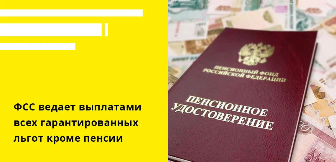 Направление ФСС и что меняется для бизнеса