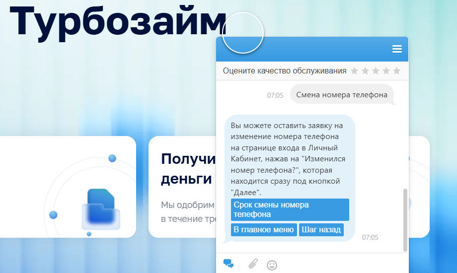 Поддержка Турбозайм