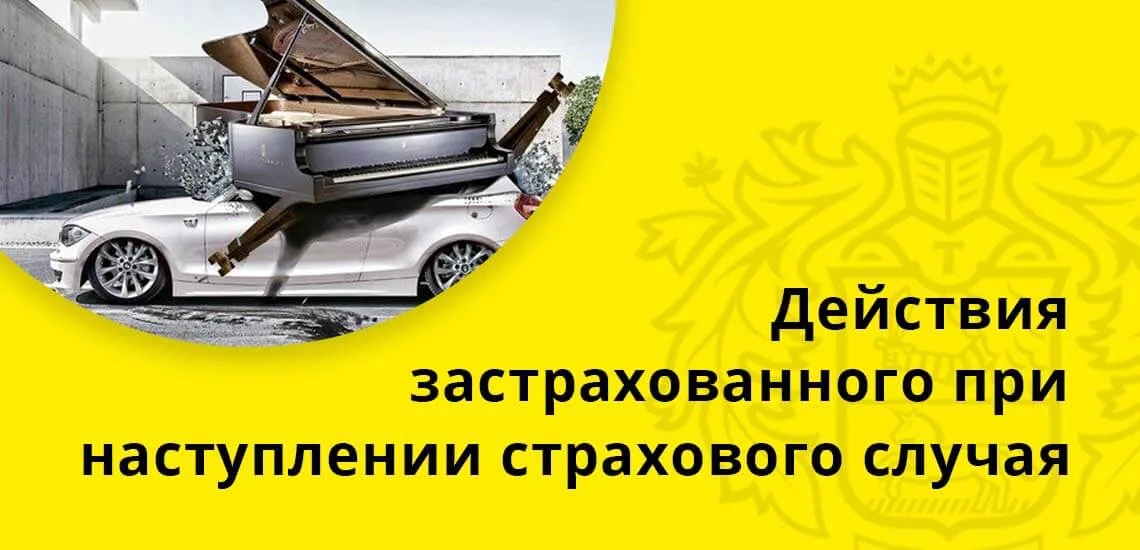 Дмс условия страхования. Дмс условия страхования
