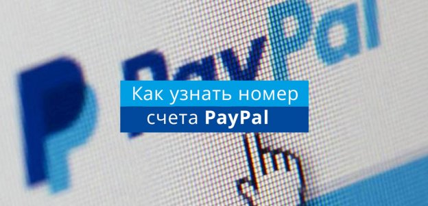 Как узнать номер счета PayPal
