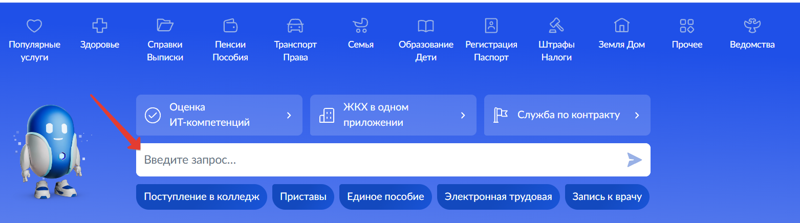 Поддержка Госуслуги