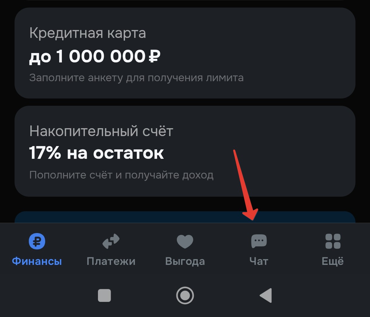 Чат с поддержкой Озон Банка в приложении
