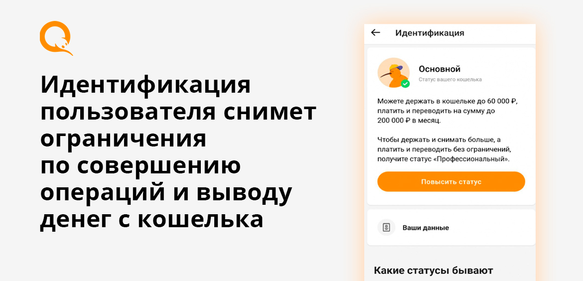Идентификация пользователя снимет ограничения по совершению операций и выводу денег с кошелька