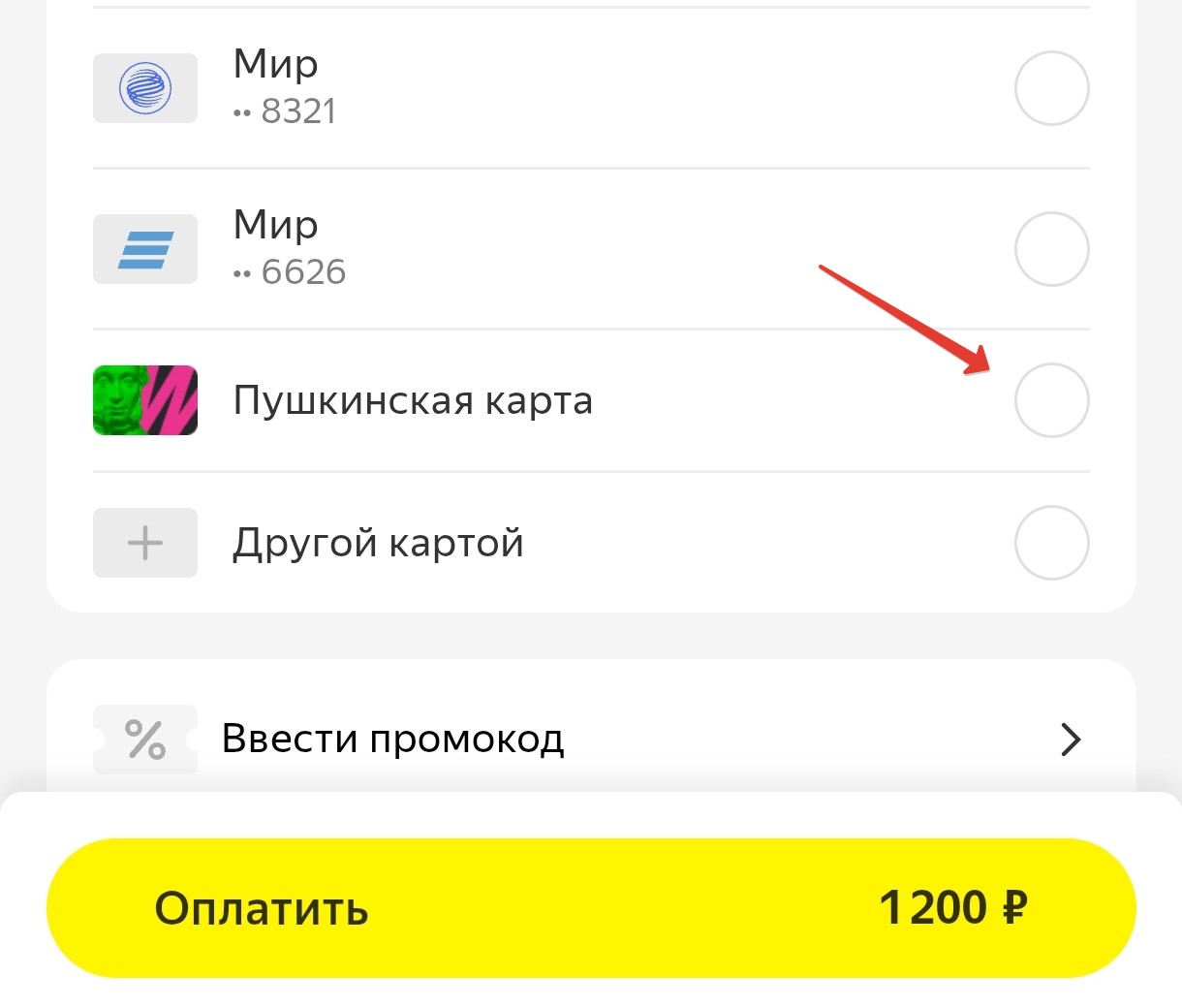 Билет по Пушкинской карте