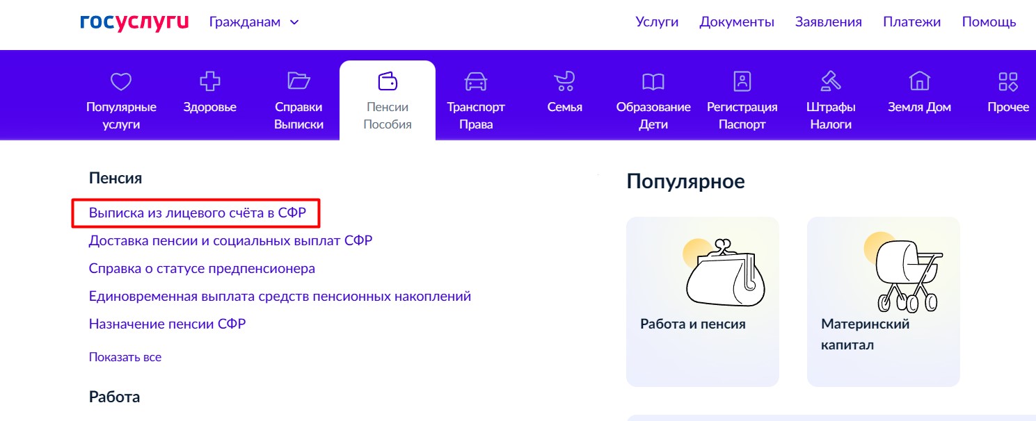 Получение выписки из лицевого счета в СФР через Госуслуги