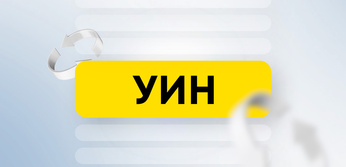 УИН в реквизитах: что это и где находится