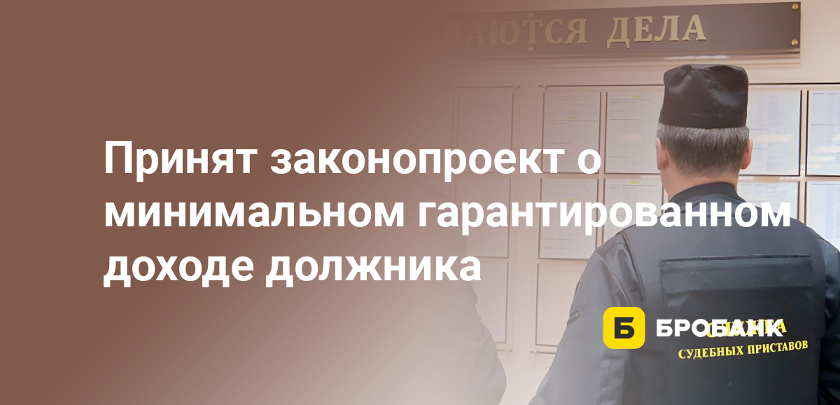 Принят законопроект о минимальном гарантированном доходе должника