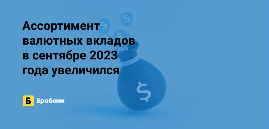 Валютных вкладов в сентябре 2023 года стало больше | Бробанк.ру
