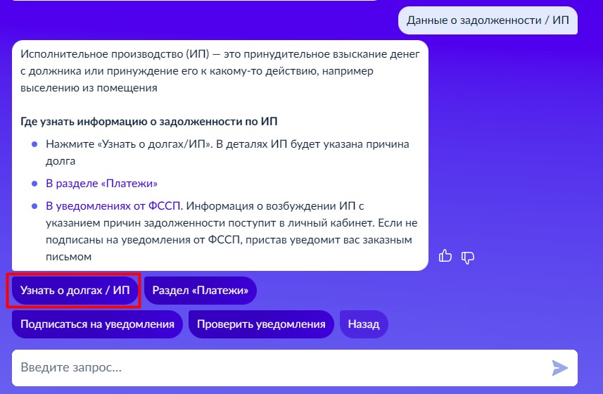 Поиск судебной задолженности на портале Госуслуги