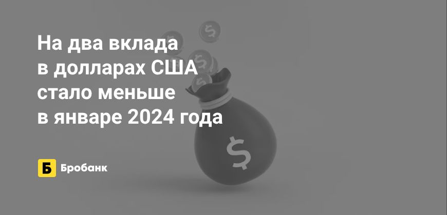 Ассортимент вкладов в долларах в начале 2024 года сократился | Бробанк.ру