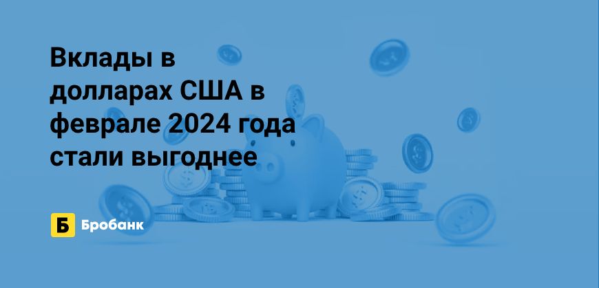 Доходность вкладов в долларах в феврале 2024 года выросла | Бробанк.ру