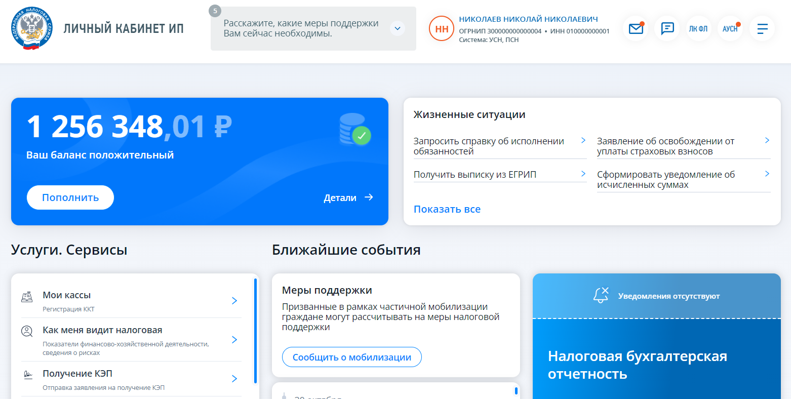 Личный кабинет индивидуального предпринимателя