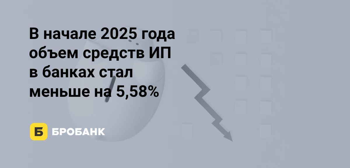 В начале 2025 года ИП изымали деньги из банков | Бробанк.ру