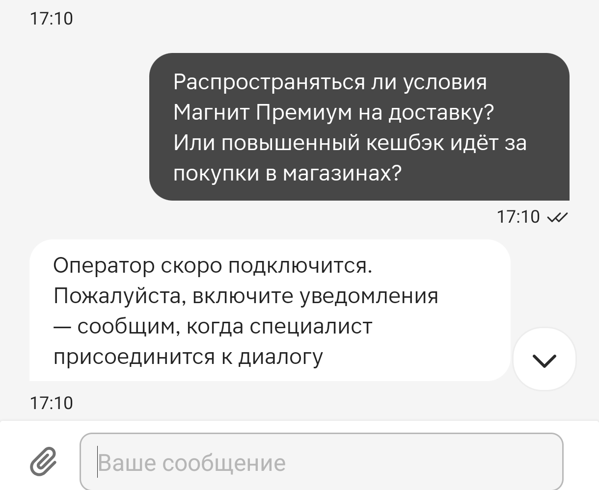 Чат с поддержкой Магнит