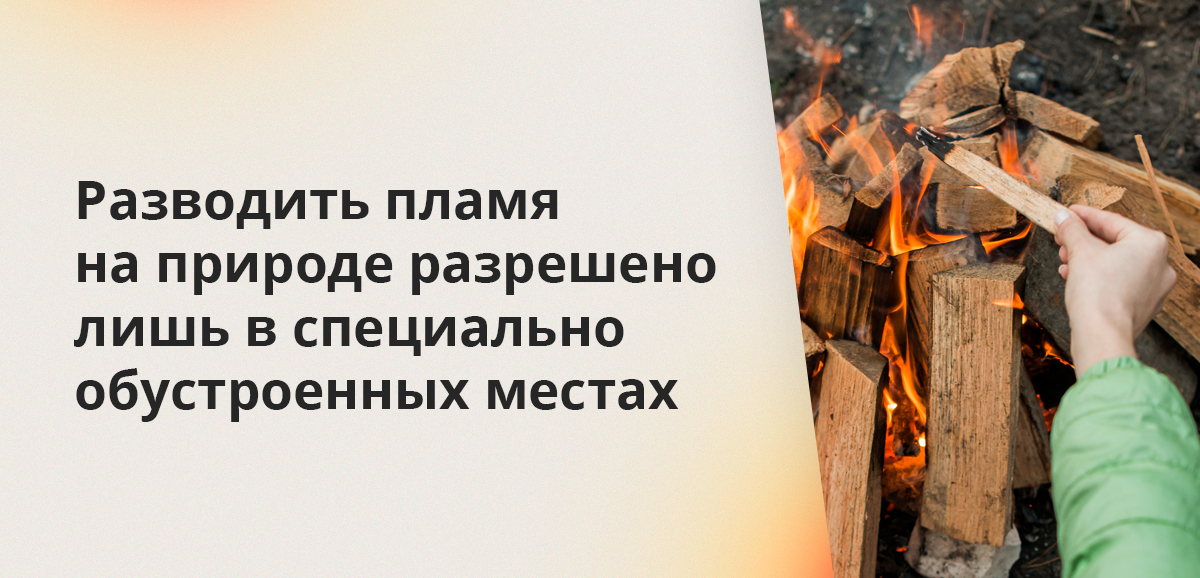 Разводить пламя на природе разрешено лишь в специально обустроенных местах