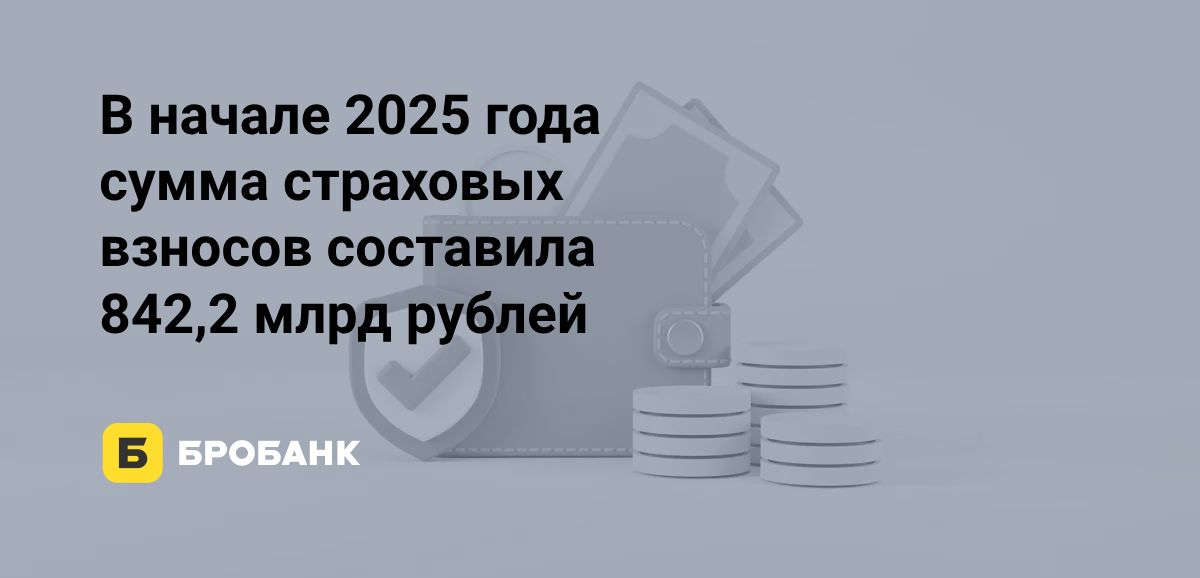 Число страховок в начале 2025 года сократилось | Бробанк.ру