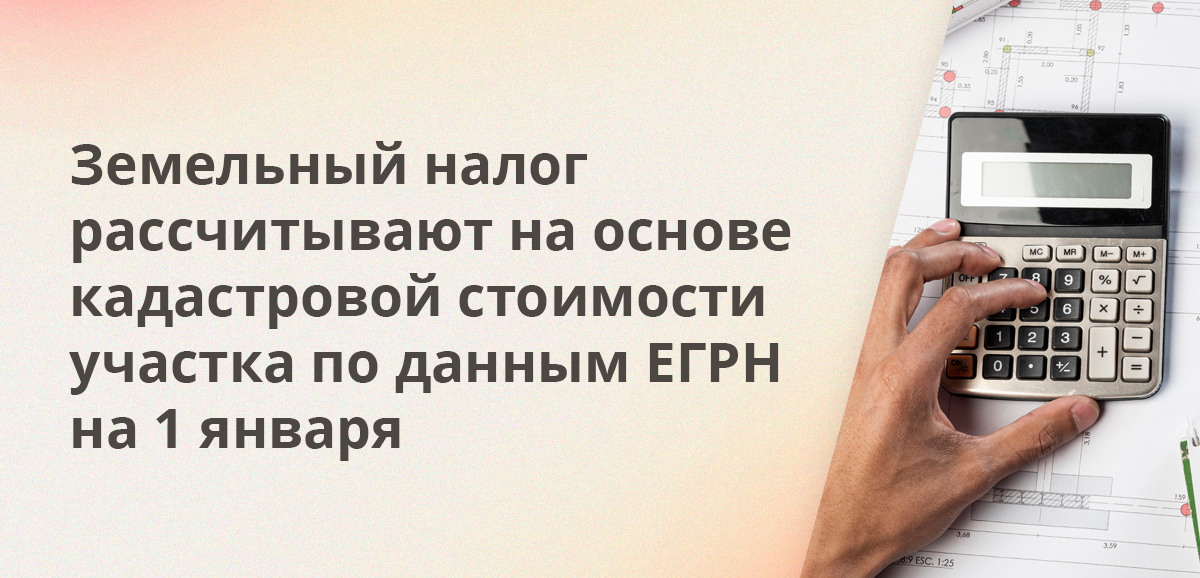 Земельный налог рассчитывают на основе кадастровой стоимости участка по данным ЕГРН на 1 января