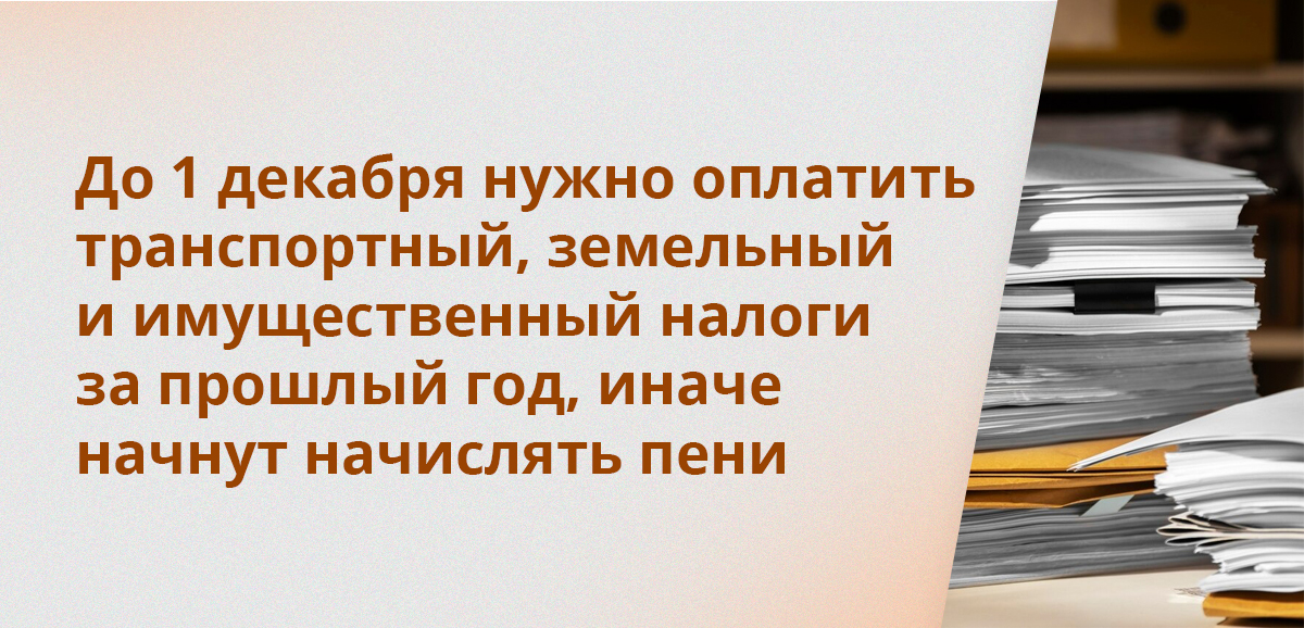 До 1 декабря нужно оплатить транспортный, земельный и имущественный налоги за прошлый год, иначе начнут начислять пени