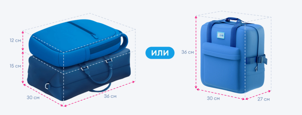 Ручная кладь Победы