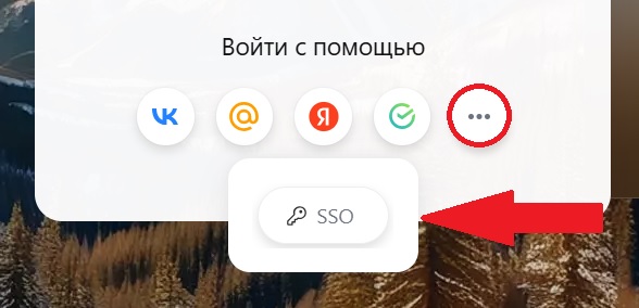 Через SSO
