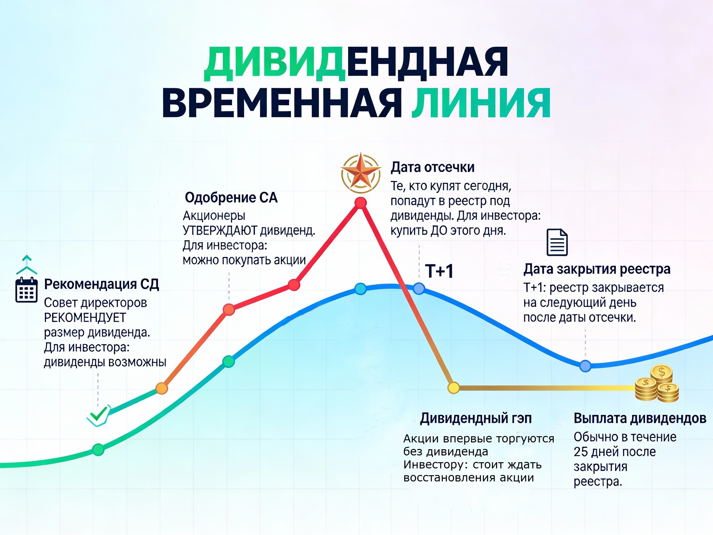 Схема согласования и выплат дивидендов
