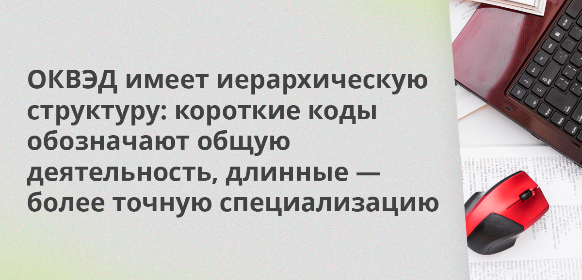 ОКВЭД имеет иерархическую структуру: короткие коды обозначают общую деятельность, длинные — более точную специализацию