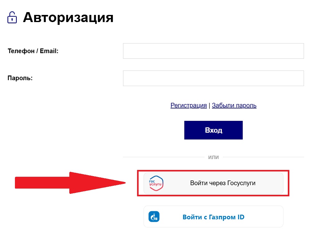 Войти через Госуслуги