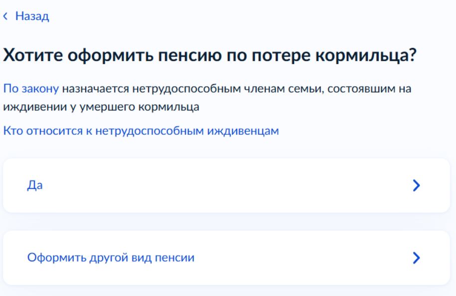 Оформление пенсии по потере кормильца через Госулуги